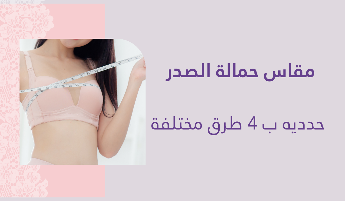 برا بوش أب: ليست للصدر الصغير فقط، دليلك الكامل